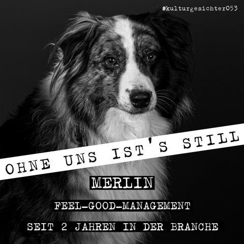 Merlin